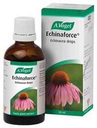 A.Vogel Βάμμα Echinaforce Echinacea Drops Εχινάκεια 50ml