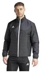 adidas Entrada 22 Μπουφάν Puffer ΜΑΥΡΟ