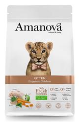 Amanova Kitten 4kg