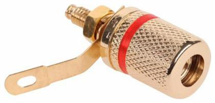 Banana female Gold Plated Red (GNI0206B)