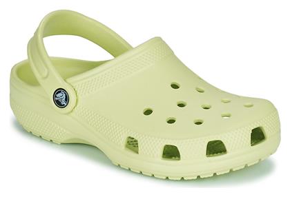 Crocs Παιδικά Ανατομικά Σαμπό Θαλάσσης Πράσινα