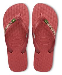 Havaianas Σαγιονάρες σε Μπορντό Χρώμα από το SerafinoShoes