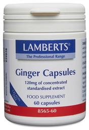 Lamberts Ginger 120mg 60 κάψουλες