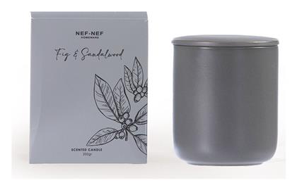 Nef-Nef Αρωματικό Κερί σε Βάζο Fig & Sandalwood 200gr