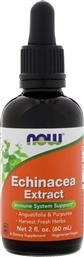 Now Foods Echinacea Extract Liquid 60ml από το Pharm24
