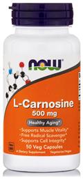 Now Foods L Carnosine 500mg 50 φυτικές κάψουλες