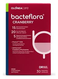 Olonea BacteFlora Fem Cranberry Πρεβιοτικά Ουροποιητικό Σύστημα 30 φυτικές κάψουλες από το Pharm24