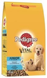 Pedigree Vital Protection 2kg Ξηρά Τροφή για Κουτάβια Μεσαίων Φυλών με Ρύζι και Κοτόπουλο