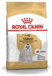 Royal Canin Adult Maltese 1.5kg