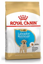 Royal Canin Puppy Labrador Retriever 12kg Ξηρά Τροφή για Κουτάβια Μεγαλόσωμων Φυλών με Καλαμπόκι, Πουλερικά και Ρύζι