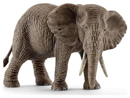 Schleich-S Παιχνίδι Μινιατούρα Wild Life African Elephant Female για 3+ Ετών