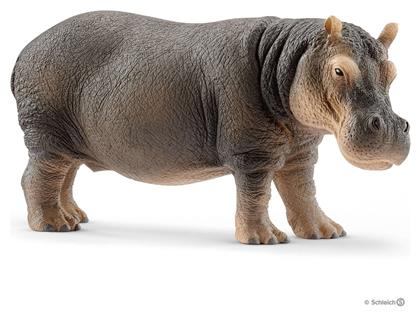 Schleich-S Παιχνίδι Μινιατούρα Wild Life Hippopotamus για 3+ Ετών από το GreekBooks