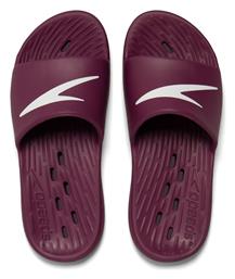 Speedo Slides σε Μωβ Χρώμα