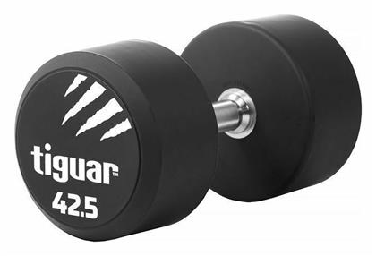 Tiguar Dumbbell PU 1x 42.5kg