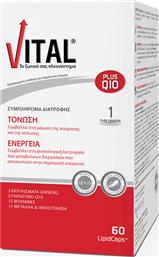Vital Plus Q10 Βιταμίνη για Ενέργεια & Ανοσοποιητικό 10mg 60 μαλακές κάψουλες από το Pharm24